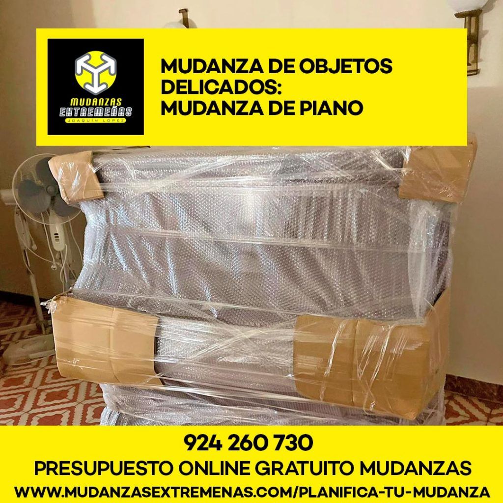EMPRESA DE MUDANZAS - Mudanza de objetos delicados Mudanza de Piano